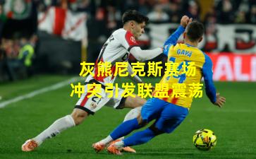 灰熊尼克斯赛场冲突引发联盟震荡