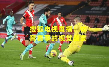 搜狐电视直播:体育赛事的视觉盛宴