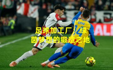 足球加工厂：绿茵梦想的锻造之地