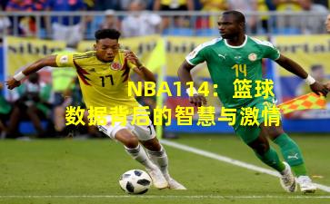 NBA114：篮球数据背后的智慧与激情