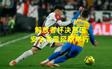 解放者杯决赛因安全考量延期举行