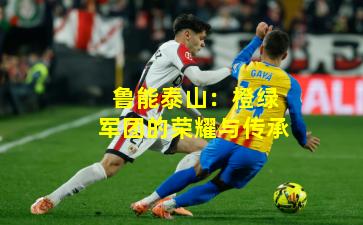 鲁能泰山：橙绿军团的荣耀与传承