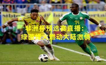非洲杯预选赛直播：绿茵烽火燃动大陆激情
