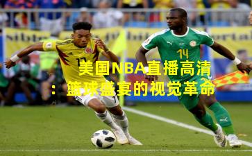 美国NBA直播高清：篮球盛宴的视觉革命